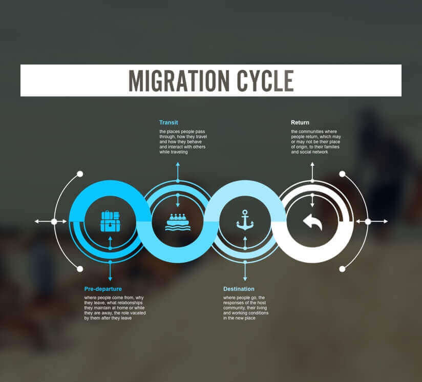 Migration Cycle Image