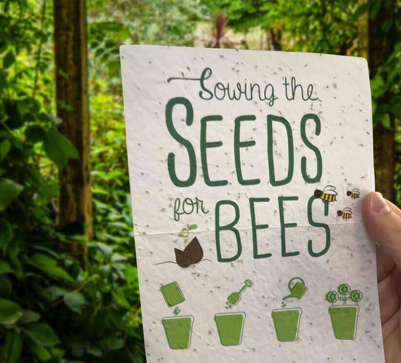 Seeds For Bees Image