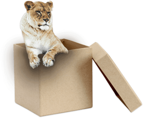 Download เอาใจลูกค้าด้วย Packaging Design สุดครีเอทีฟ จาก upmedio